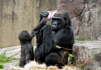 �ɥ󥭡����󥰤��ɥ󥭡�����02