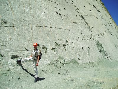 ボリビアの恐竜の足跡01