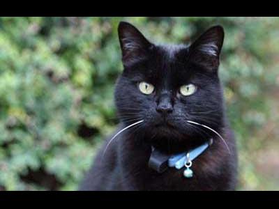 ǭ����Ǿ�Ļ��ߤ�