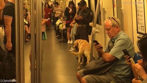 ���������ϲ�Ŵ�ǥ��å���02