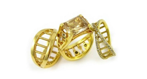 マニアとオタクの結婚指輪12