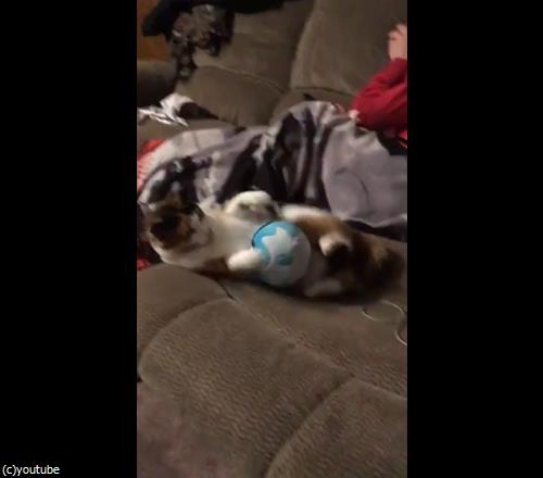 この可愛い生き物をゲットしたいけど06