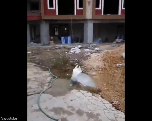 �ϥȤο���ǽ��03