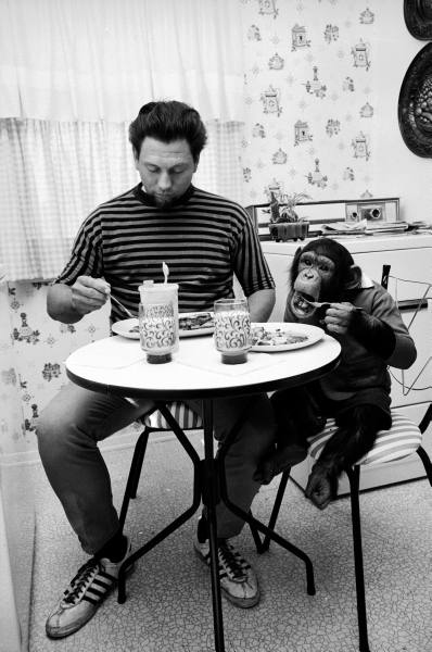 エキゾチックなペット12