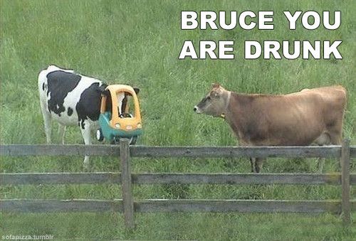 ���⤷�����ä�����06