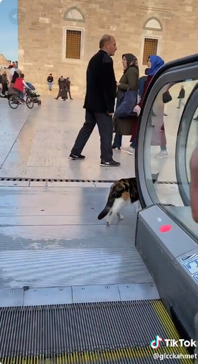 ǭ���������졼�������ꤳ�ʤ�05