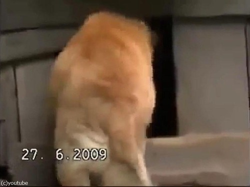 �ҥ襳���ݸ�븤03