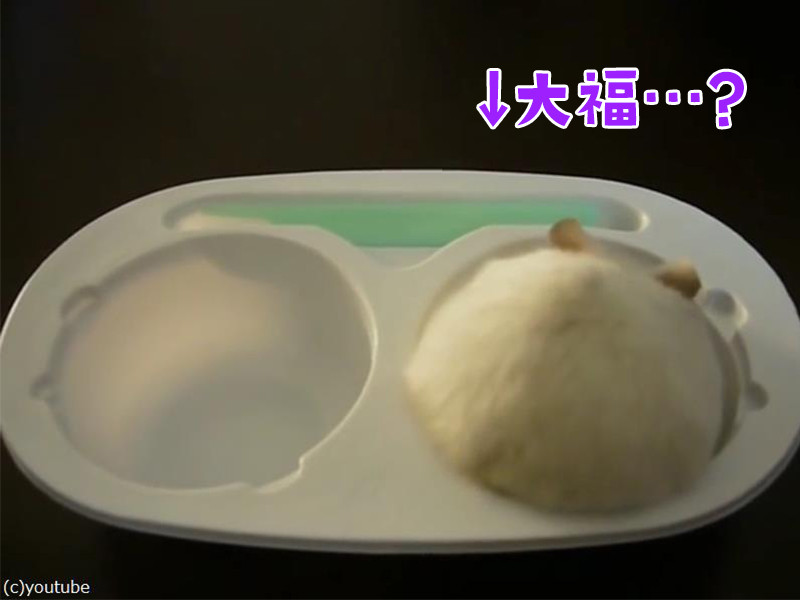 おいしそうな大福アイスかと思ったら かわいい生き物だった 動画 らばq