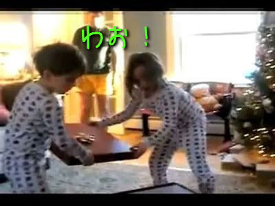 子犬のプレゼント