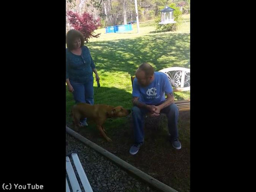 入院していた飼い主と感動の再会03