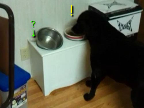 ���Υ�������β����餫�襤��ǭ