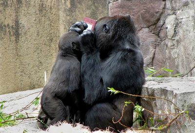 �ɥ󥭡����󥰤��ɥ󥭡�����04