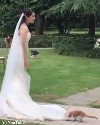 �뺧���˥��塼�Ȥʤ��Ҥ���04