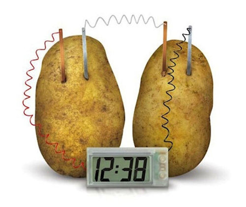 小学生の頃学んだこと09