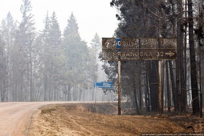 �⥹����00