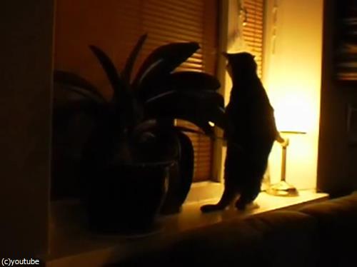 ǤΥ¹¥È¥ì¥Ã¥Á¤ò¤¤¤í¤ó¤Ê³ÑÅÙ¤«¤éį¤á¤Æ¤ß¤¿07