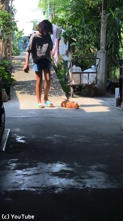 ǭ�ֵ��ꤿ���ʤ��˥��01