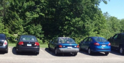 鳥に狙われた05