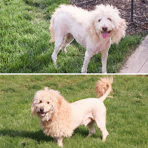 ���å���������θ��Υإ����å�02