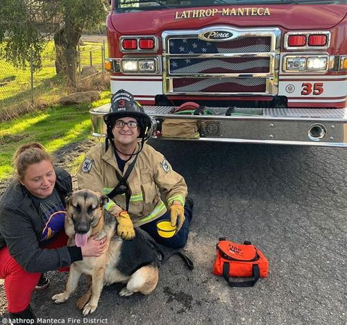 �����ѡ��ɤ��ڤ���ߤ���ʤ��ʤ�02