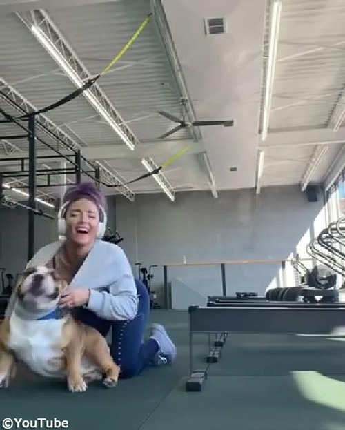飼い主さんのトレーニングを邪魔する犬03