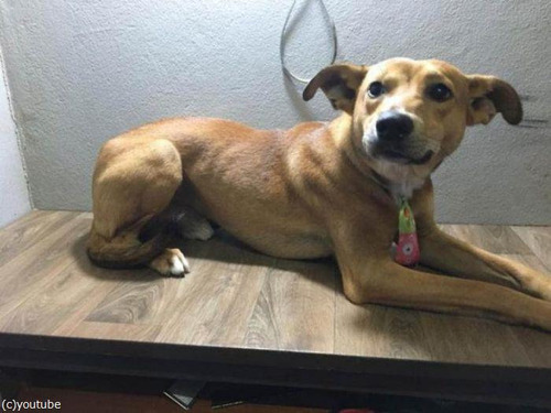 �ܤ��������ɸ�09