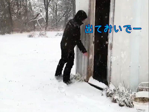 ������ä��ߤϴ���00