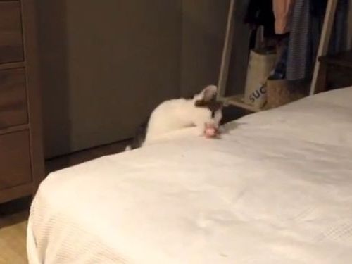 �٥åɤ�΢��ǭ���01