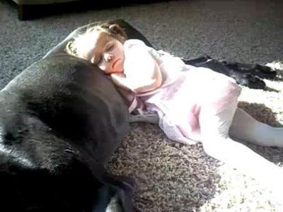 犬を枕にうたたねする少女
