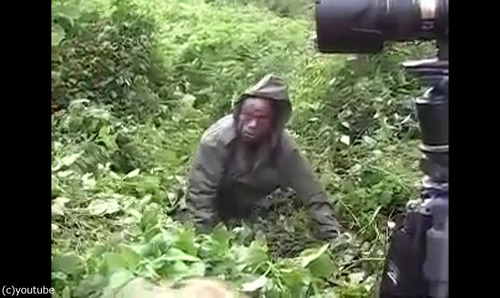 ゴリラの撮影06