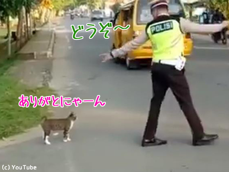 これは和む 猫を誘導するおまわりさん 動画 らばq