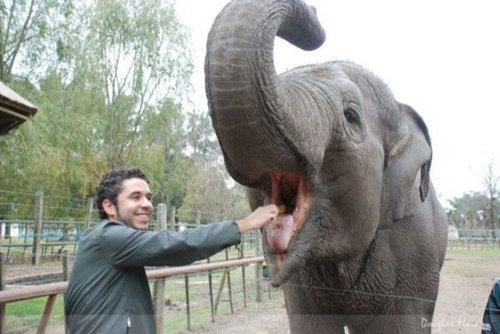 ルハン動物園17