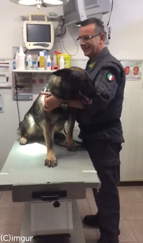 ���ͤ��ݤ��ƴ�򱣤����Ѹ����襤��01