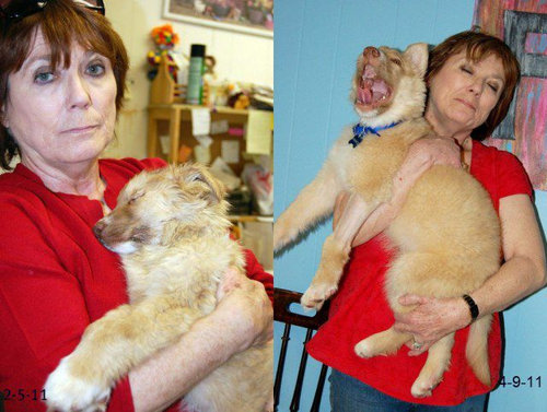 子犬を拾った20