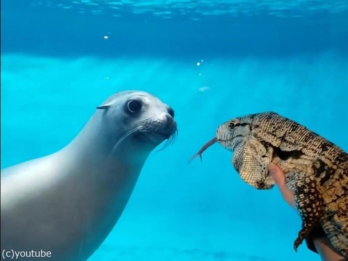 �������ȥȥ���01