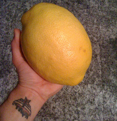 レモンの木04