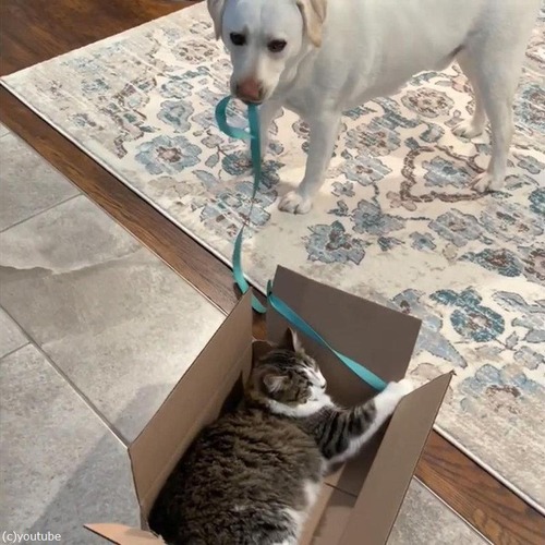 Ȣ�����ǭ��������븤03