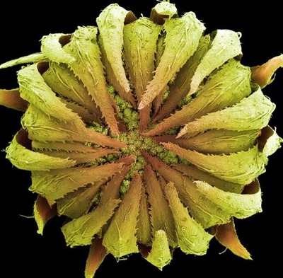 �ŻҸ�����������22