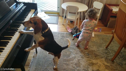 ピアノ弾き語りをする犬と踊る女児01