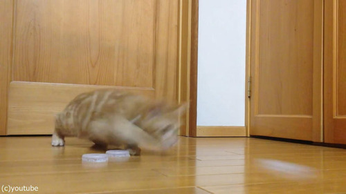 ǭ�����륭���ѡ�02