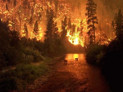 �ϵ�ä�����13