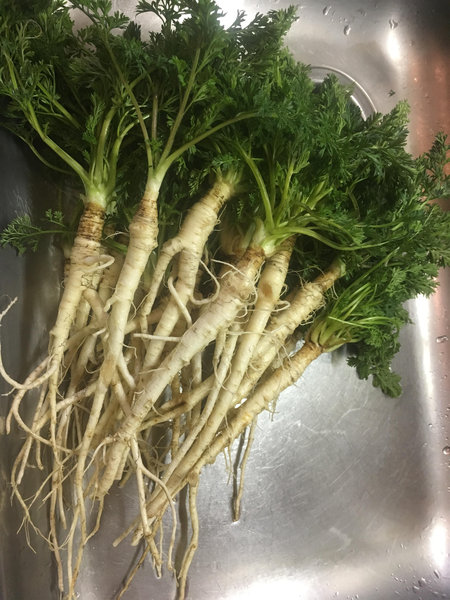 �Ҥޤ��μ�02