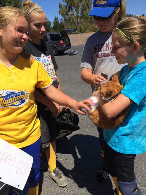 毎日高校に通う猫03