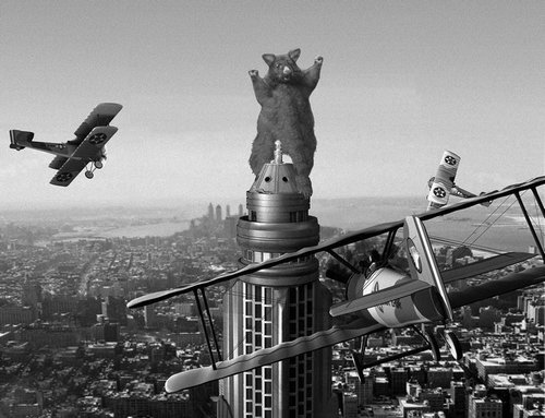 オポッサムのパロディ04