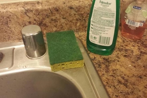 キッチンにスポンジベッド06