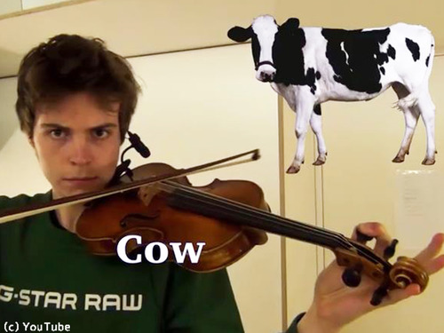 ����������˥��Ȥ�ưʪ���Ĥ�������դ���00