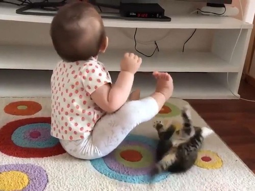 ��ǭ���֤�����ĩ��03