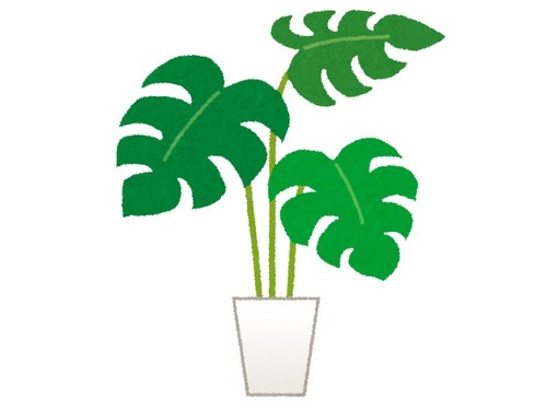 警備員がオフィスビルの植物を守る00