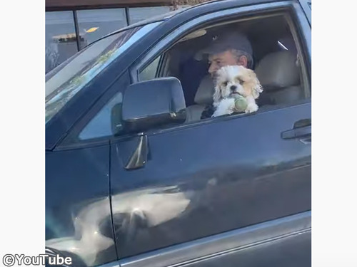 �繥���ʥܡ����ȩ��Υ�������äƤ������Ĥޤ�������ब00