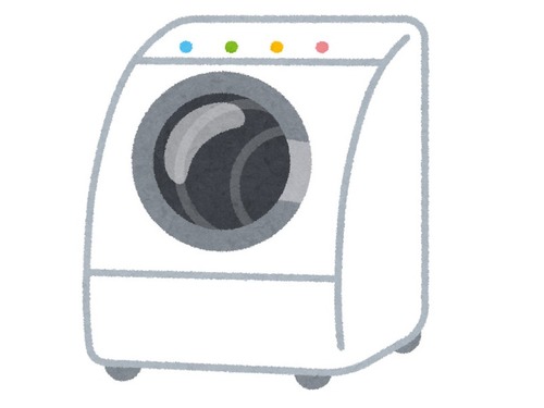 「うちの猫がドラム式洗濯機でこっそり運動不足を解消していた…」